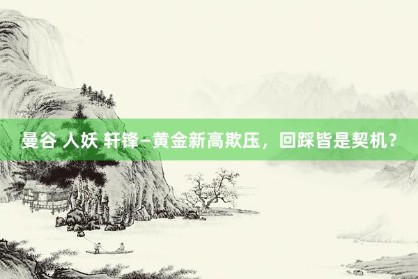 曼谷 人妖 轩锋—黄金新高欺压，回踩皆是契机？