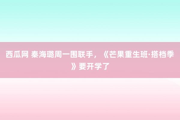 西瓜网 秦海璐周一围联手，《芒果重生班·搭档季》要开学了