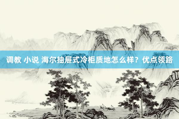 调教 小说 海尔抽屉式冷柜质地怎么样？优点领路