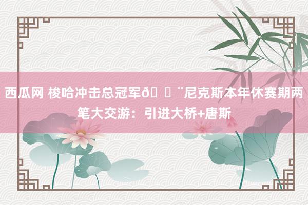 西瓜网 梭哈冲击总冠军🚨尼克斯本年休赛期两笔大交游：引进大桥+唐斯