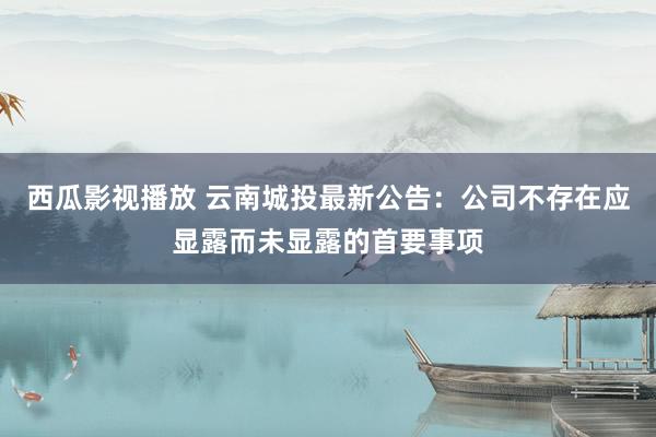 西瓜影视播放 云南城投最新公告：公司不存在应显露而未显露的首要事项