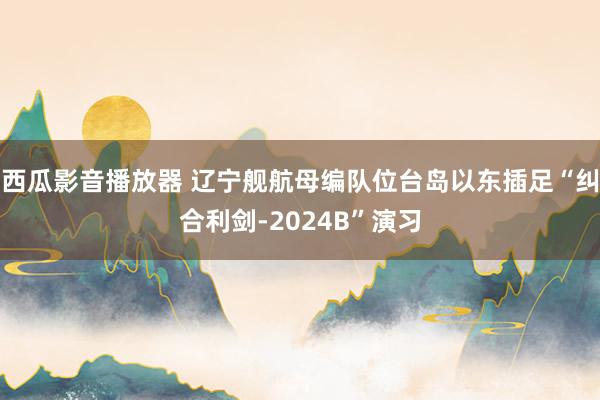 西瓜影音播放器 辽宁舰航母编队位台岛以东插足“纠合利剑-2024B”演习