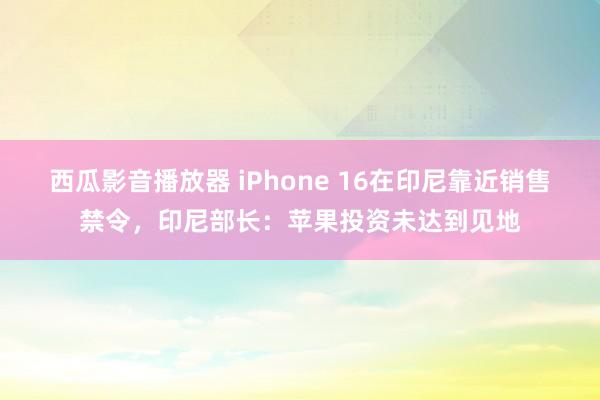 西瓜影音播放器 iPhone 16在印尼靠近销售禁令，印尼部长：苹果投资未达到见地