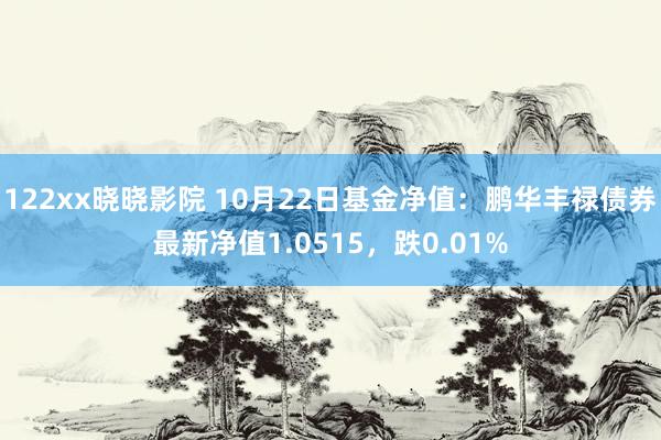 122xx晓晓影院 10月22日基金净值：鹏华丰禄债券最新净值1.0515，跌0.01%