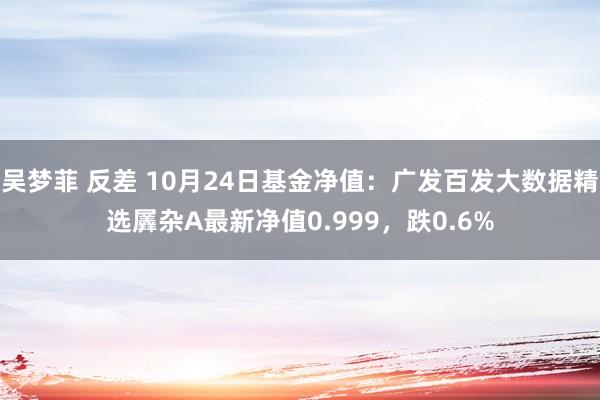 吴梦菲 反差 10月24日基金净值：广发百发大数据精选羼杂A最新净值0.999，跌0.6%