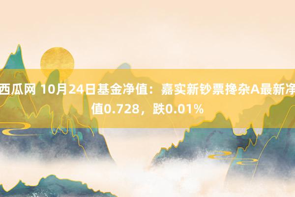 西瓜网 10月24日基金净值：嘉实新钞票搀杂A最新净值0.728，跌0.01%