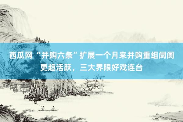 西瓜网 “并购六条”扩展一个月来并购重组阛阓更趋活跃，三大界限好戏连台