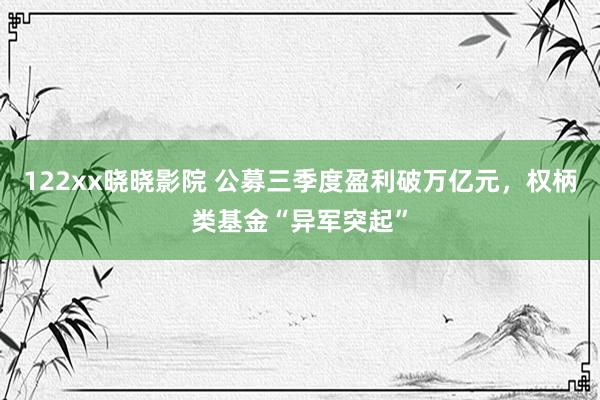 122xx晓晓影院 公募三季度盈利破万亿元，权柄类基金“异军突起”