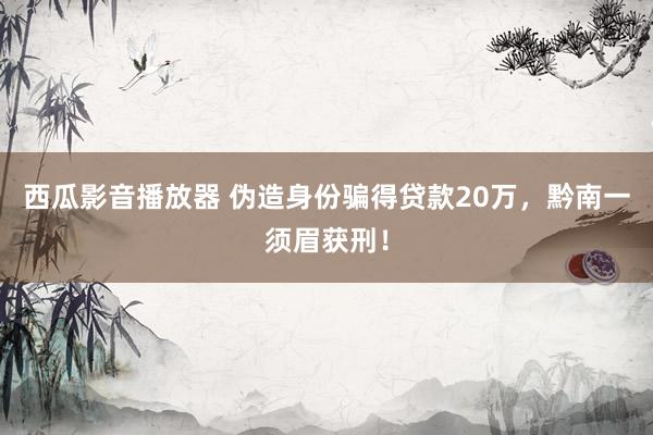 西瓜影音播放器 伪造身份骗得贷款20万，黔南一须眉获刑！