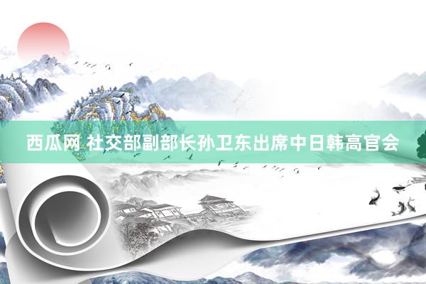 西瓜网 社交部副部长孙卫东出席中日韩高官会