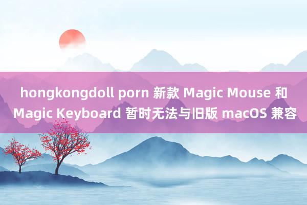 hongkongdoll porn 新款 Magic Mouse 和 Magic Keyboard 暂时无法与旧版 macOS 兼容