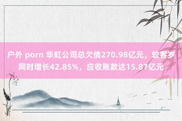 户外 porn 华虹公司总欠债270.98亿元，较客岁同时增长42.85%，应收账款达15.87亿元