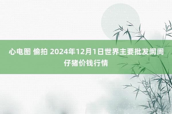 心电图 偷拍 2024年12月1日世界主要批发阛阓仔猪价钱行情