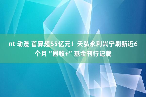 nt 动漫 首募超55亿元！天弘永利兴宁刷新近6个月“固收+”基金刊行记载