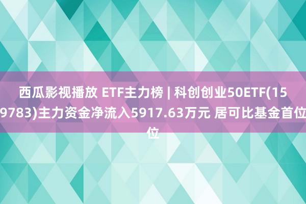 西瓜影视播放 ETF主力榜 | 科创创业50ETF(159783)主力资金净流入5917.63万元 居可比基金首位