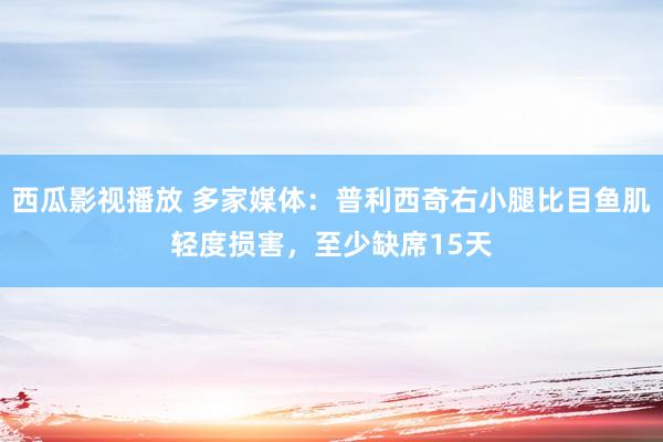 西瓜影视播放 多家媒体：普利西奇右小腿比目鱼肌轻度损害，至少缺席15天
