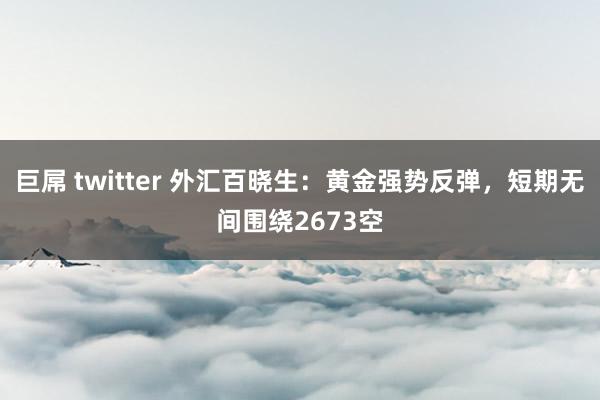 巨屌 twitter 外汇百晓生：黄金强势反弹，短期无间围绕2673空