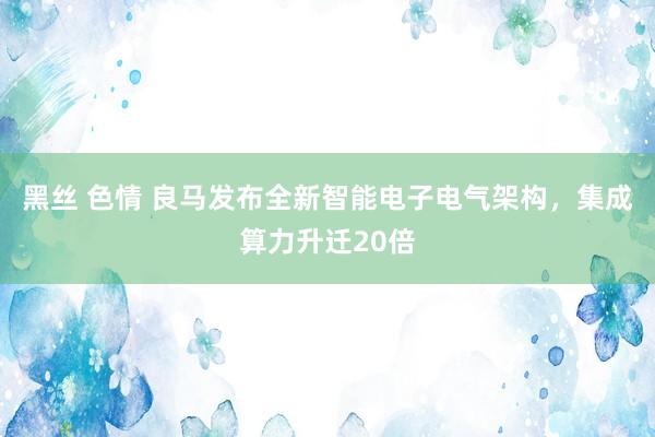 黑丝 色情 良马发布全新智能电子电气架构，集成算力升迁20倍