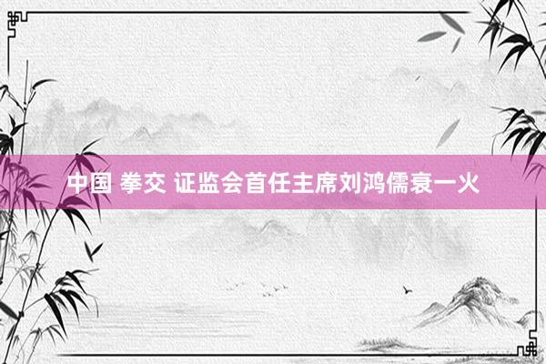 中国 拳交 证监会首任主席刘鸿儒衰一火