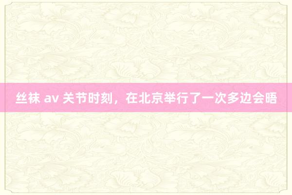 丝袜 av 关节时刻，在北京举行了一次多边会晤
