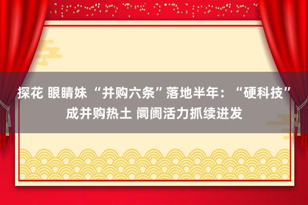 探花 眼睛妹 “并购六条”落地半年：“硬科技”成并购热土 阛阓活力抓续迸发
