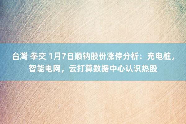 台灣 拳交 1月7日顺钠股份涨停分析：充电桩，智能电网，云打算数据中心认识热股