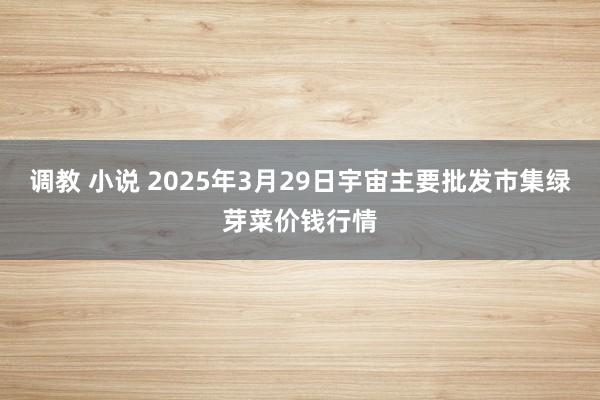 调教 小说 2025年3月29日宇宙主要批发市集绿芽菜价钱行情