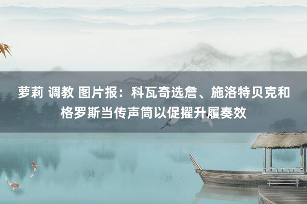 萝莉 调教 图片报：科瓦奇选詹、施洛特贝克和格罗斯当传声筒以促擢升履奏效