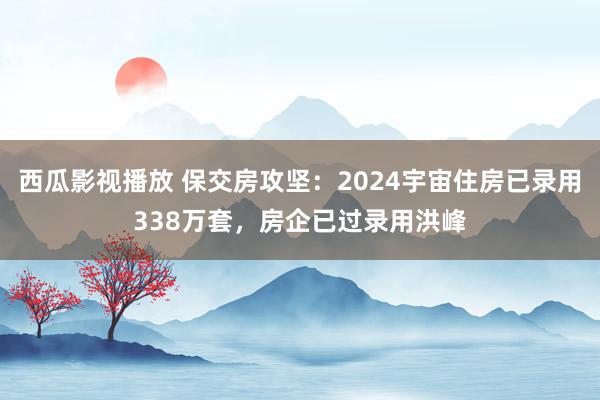 西瓜影视播放 保交房攻坚：2024宇宙住房已录用338万套，房企已过录用洪峰