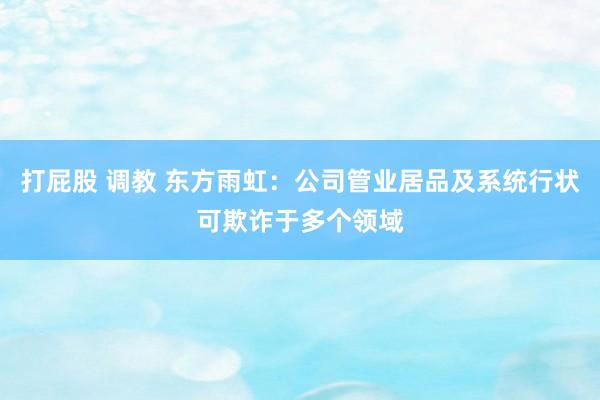 打屁股 调教 东方雨虹：公司管业居品及系统行状可欺诈于多个领域