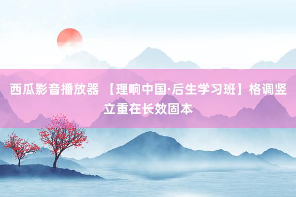 西瓜影音播放器 【理响中国·后生学习班】格调竖立重在长效固本