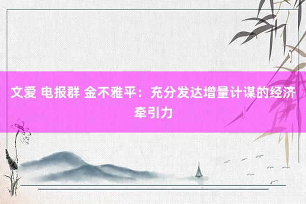 文爱 电报群 金不雅平：充分发达增量计谋的经济牵引力